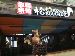 松鼠貪吃（攸縣米粉店）監(jiān)控網(wǎng)絡(luò)工程